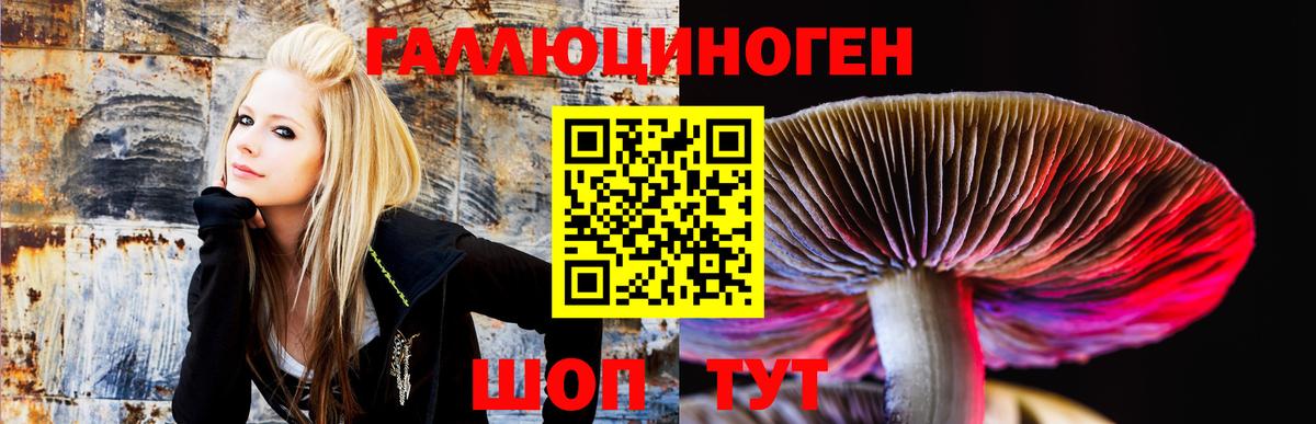 Псилоцибиновые грибы Psilocybine cubensis  Вход с VPN  Геленджик 