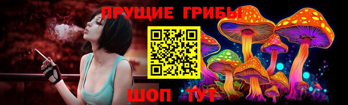 Псилоцибиновые грибы GOLDEN TEACHER Геленджик