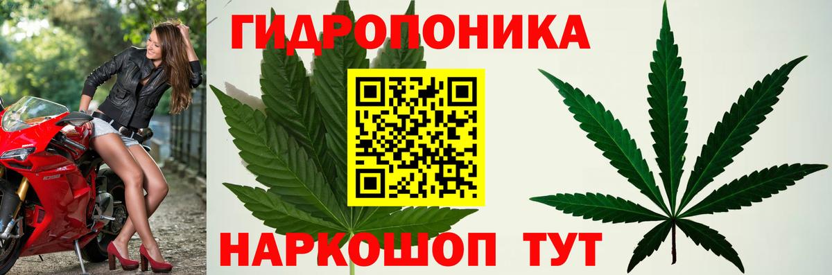 Бошки марихуана план Геленджик